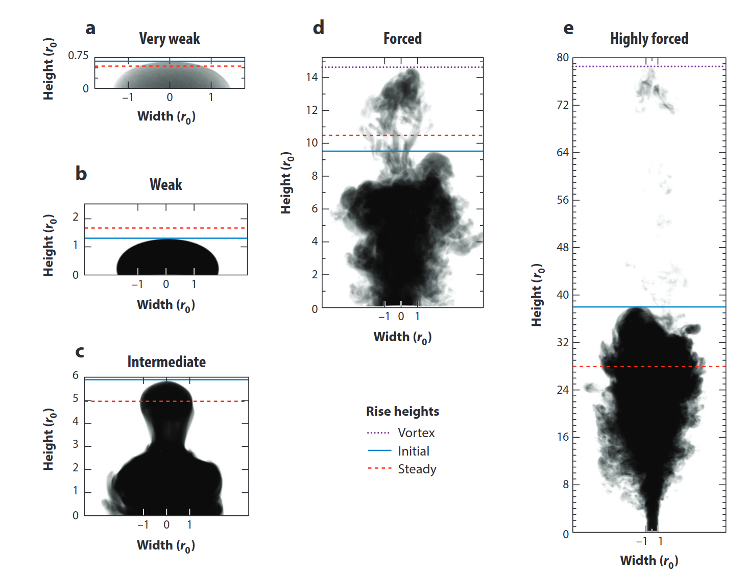 Images showing fountain dynamics